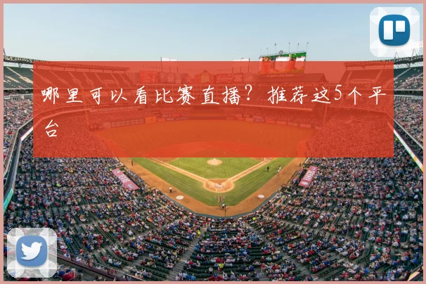 哪里可以看比赛直播?推荐这5个平台
