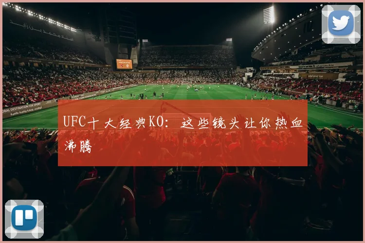 UFC十大经典KO:这些镜头让你热血沸腾
