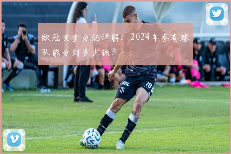 欧冠奖金分配详解:2024年参赛球队能分到多少钱?