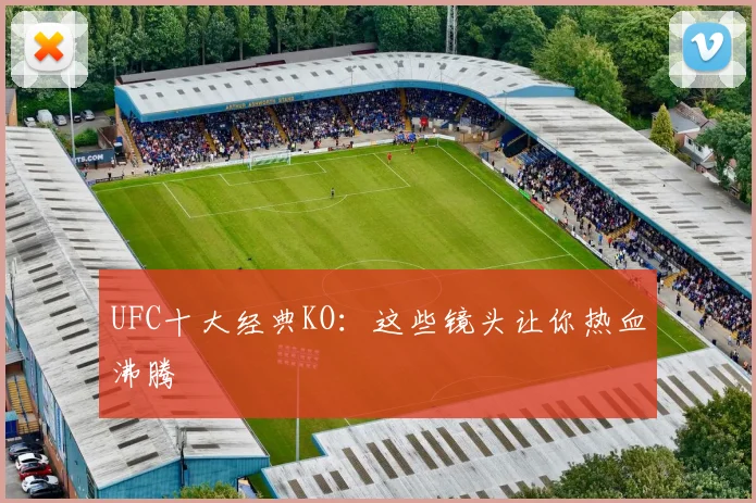 UFC十大经典KO:这些镜头让你热血沸腾